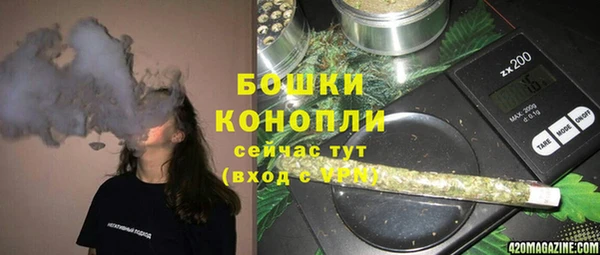 меф Дмитриев