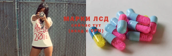 гидра Гусев