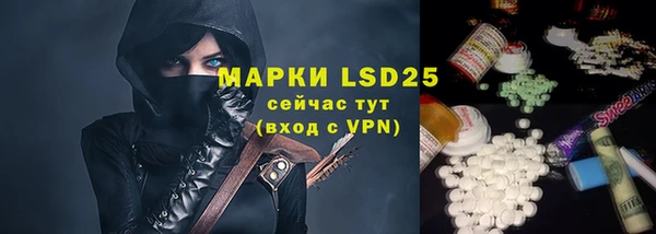 гашик Гусь-Хрустальный