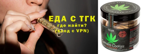 гашик Гусь-Хрустальный