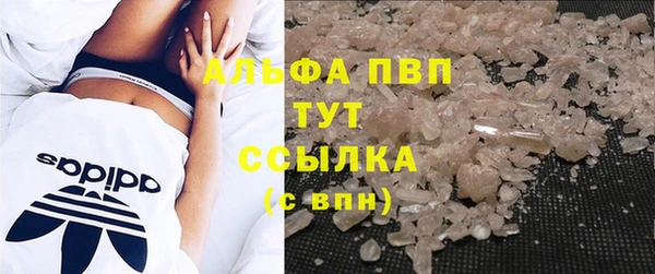 гидра Гусев