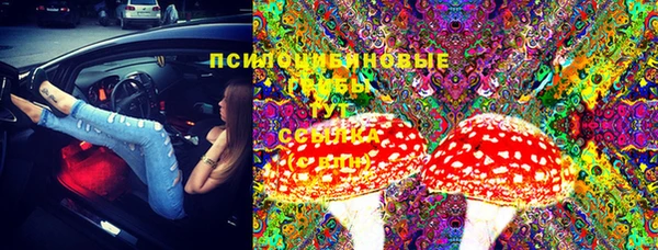 стаф Гусиноозёрск